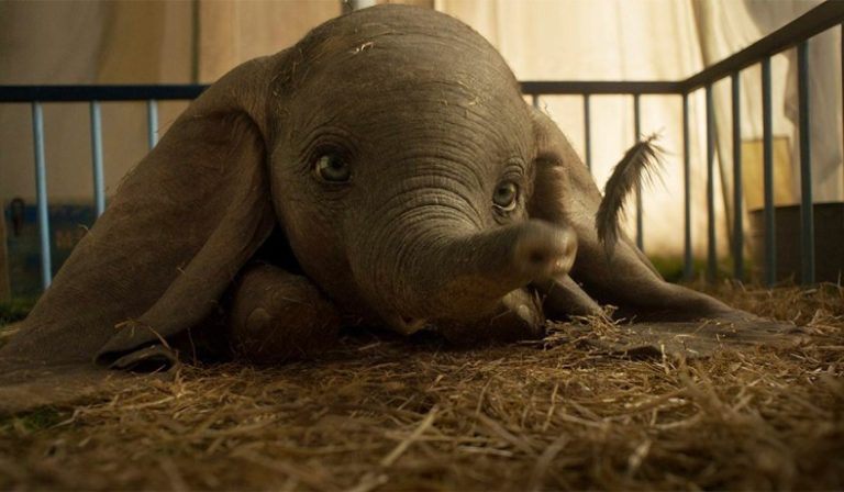 UPDATE: Disney Struggles with Live Action Movies as “Dumbo” Disappoints with $45 Mil Weekend, Far Below Expectations