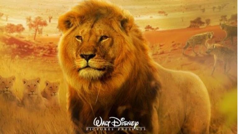 Has “The Lion King” Movie Hurt the Box Office for “The Lion King” Musical? Receipts for Broadway Bellwether Drop for 6th Week in a Row