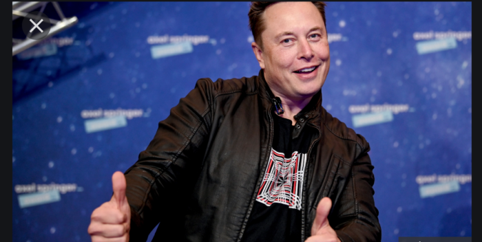 Is Elon Musk Turning Twitter into My Pillow? Stock Price Drops to All